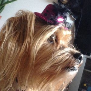 Meet your Posher, Miyah